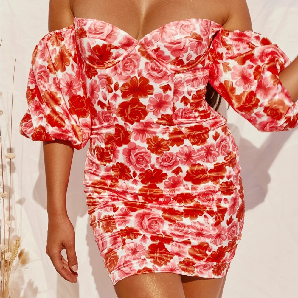 Brand NWT oh Polly in full bloom dress size 2